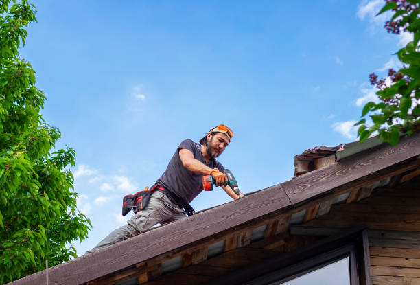 Professional Roofing and repair in Newellton, LA